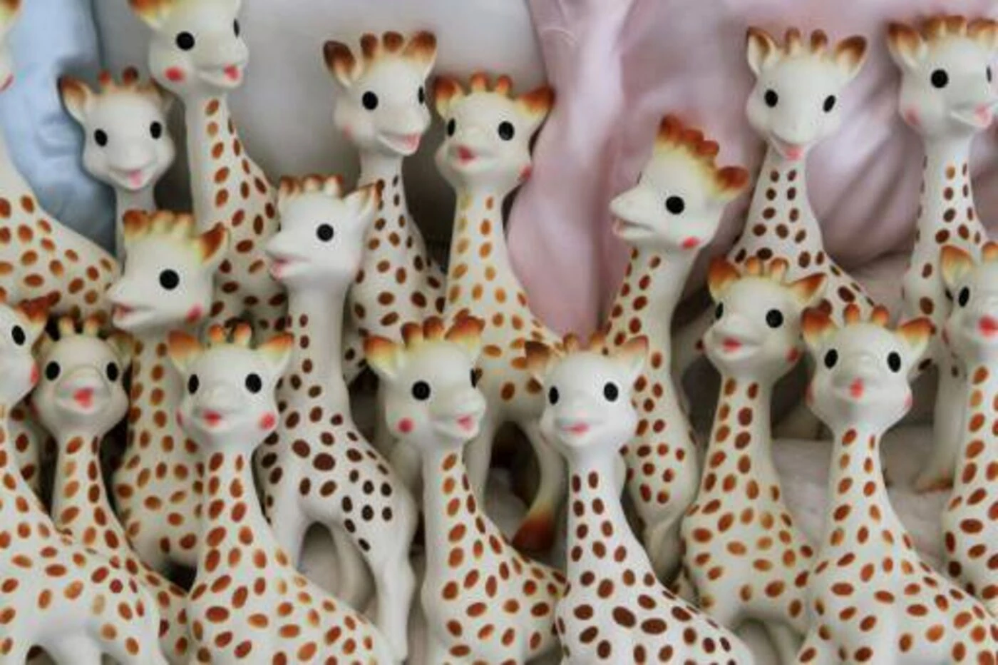 Sophie la Girafe fabriquée en Chine mais vendue « made in France » : l’entreprise perquisitionnée en Haute-Savoie