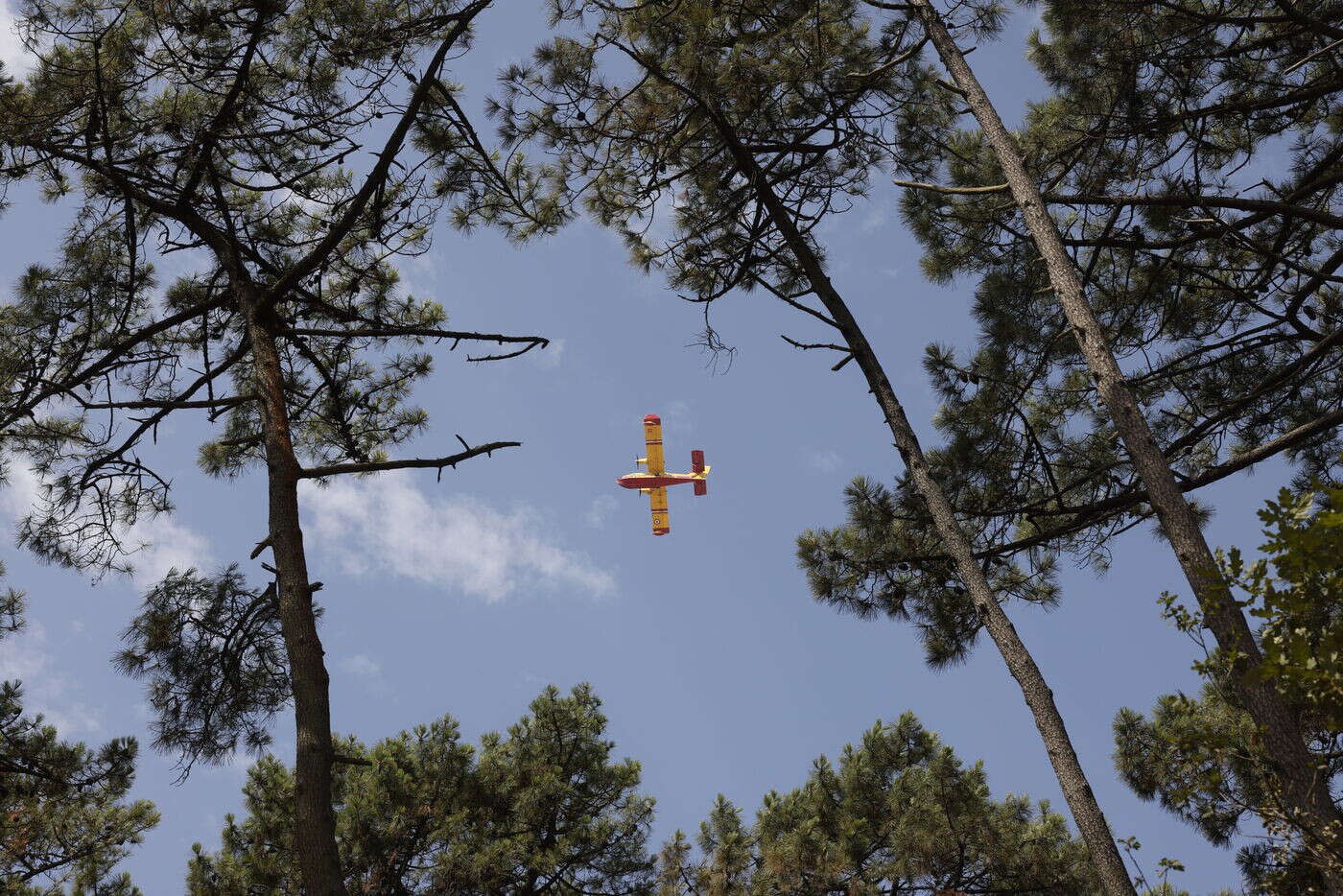 Alpes-Maritimes : quatre feux simultanés dans la vallée de la Roya, la piste criminelle envisagée