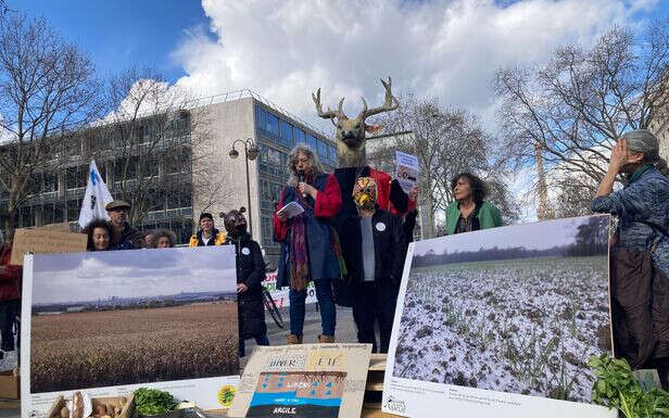 Saclay, Gonesse… les militants écologistes réclament le classement des terres agricoles à l’Unesco 