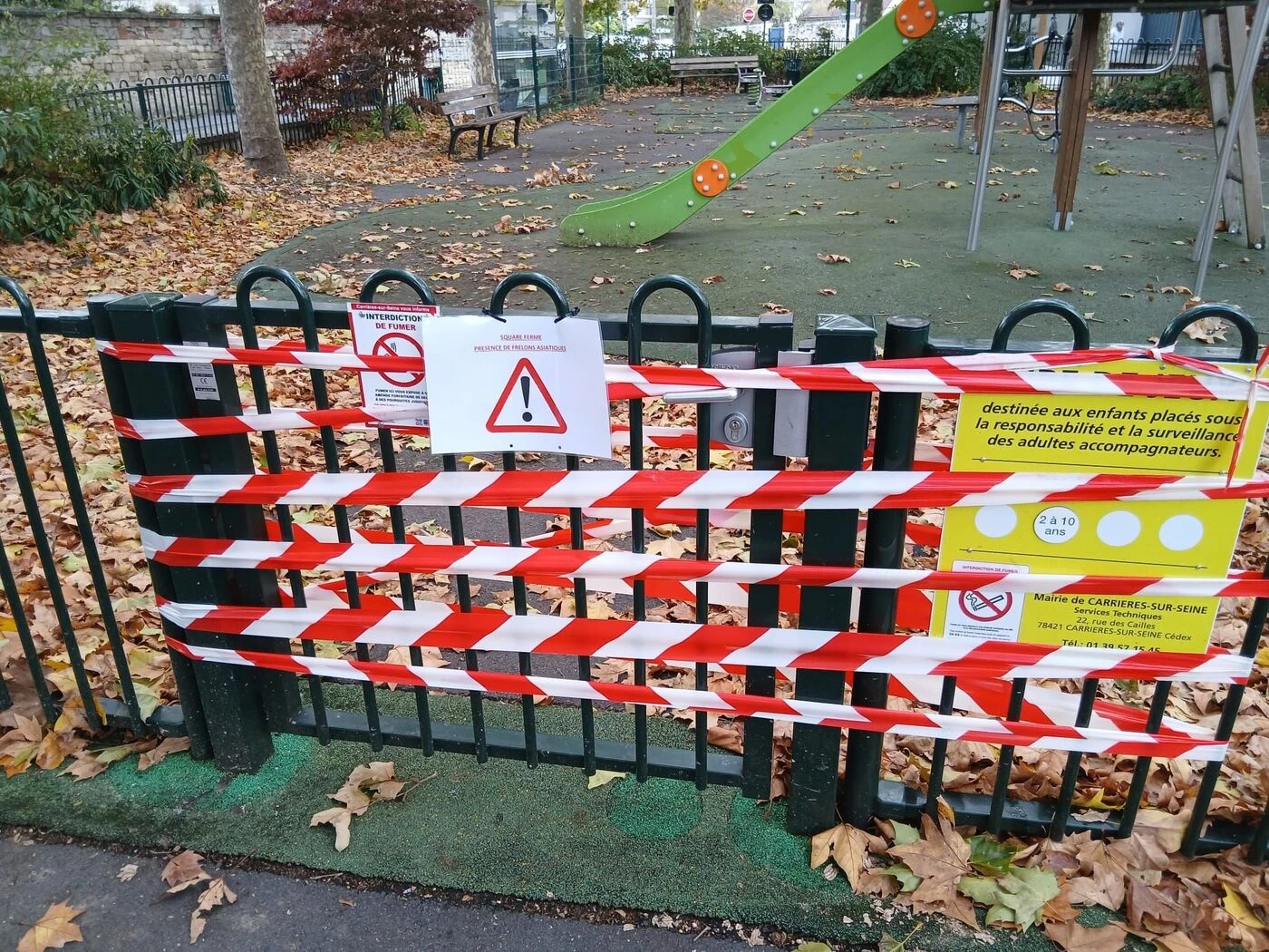 Caméra thermique, nasse coréenne, réseau citoyen… A Carrières-sur-Seine, on lutte contre le frelon asiatique