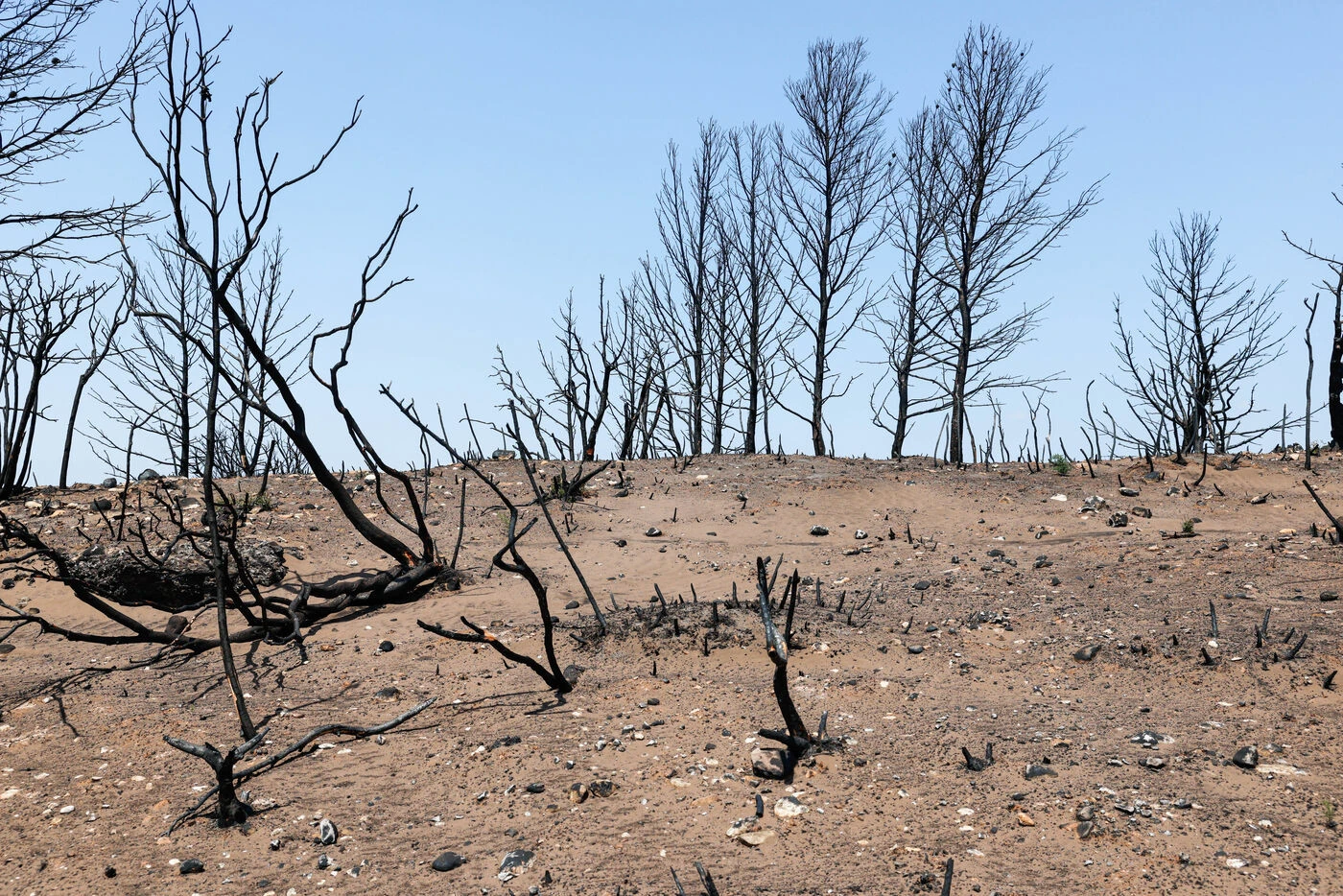 « On est dans une situation de vigilance extrême » : l’Aude redoute une reprise du gigantesque incendie ce week-end