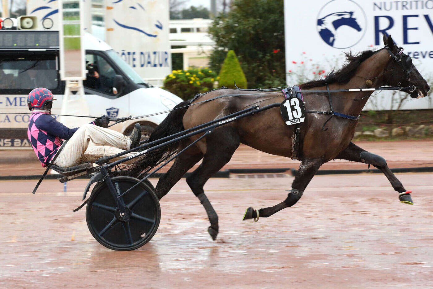 PMU – Arrivée du quinté du mercredi 22 janvier à Cagnes-sur-Mer : Happy Danica se réhabilite