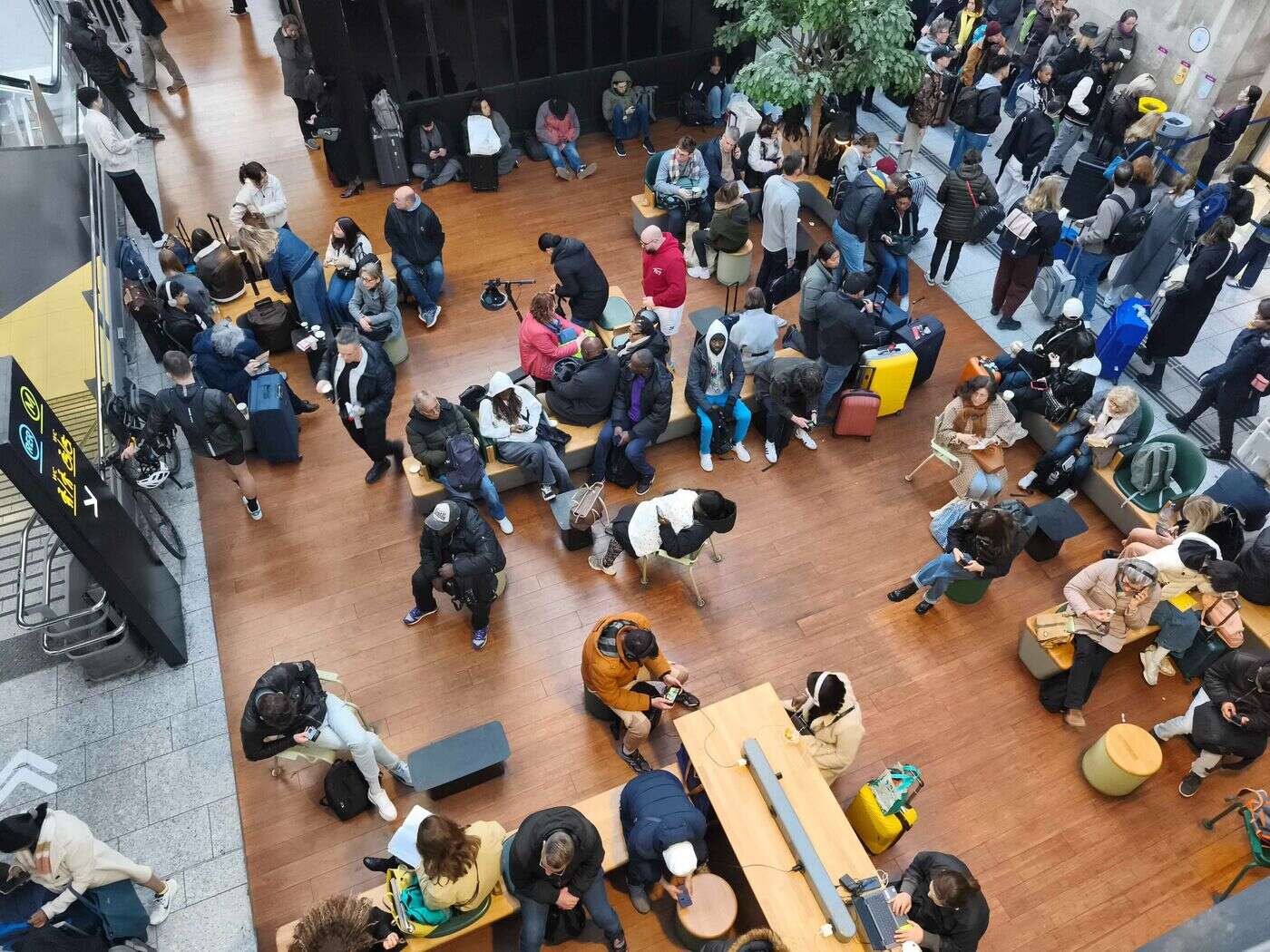 « On a un peu les boules » : gare du Nord, les voyageurs sans train prennent leur mal en patience