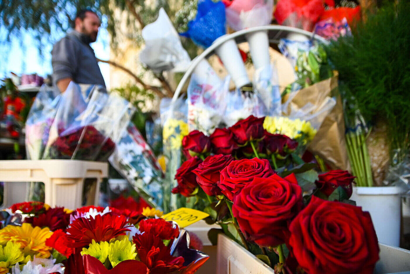 Rennes : la justice déboute une fleuriste dont la fille est morte d’une leucémie due à une exposition aux pesticides