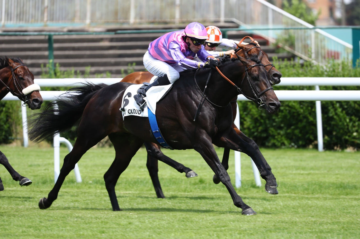 Arrivée du quinté du mardi 3 juin à Saint-Cloud : Sapristi, tout sauf une surprise