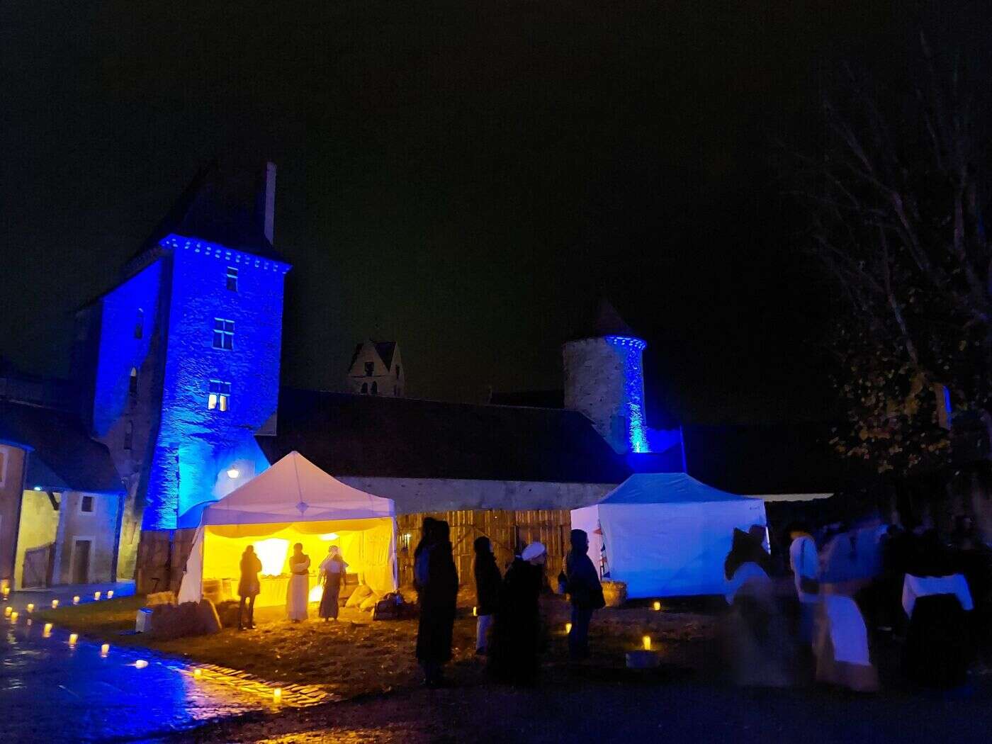 Seine-et-Marne : la troupe d’« Un Noël en péril » enchante le château fort de Blandy-les-Tours