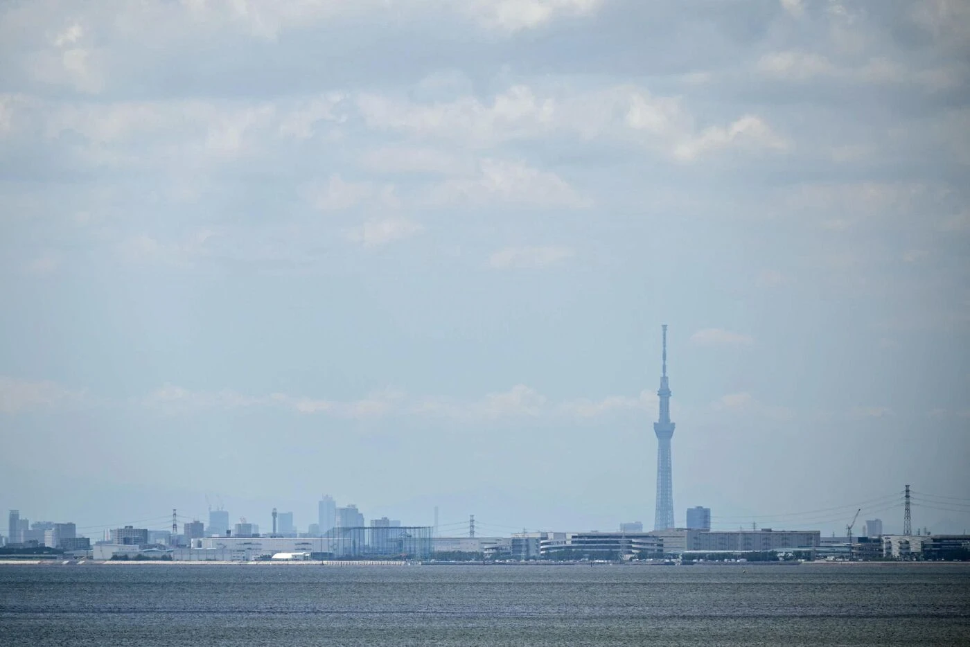 Alerte tsunami : « Un bandeau rouge nous a dit de fuir dans les hauteurs », raconte Paul depuis Tokyo