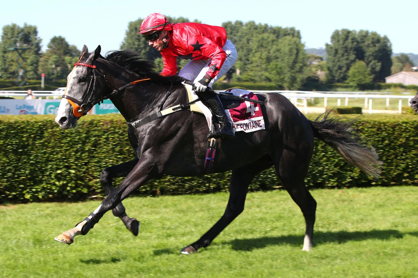 Arrivée du quinté du lundi 30 juin à Clairefontaine-Deauville : Le Petit Cheval devient grand