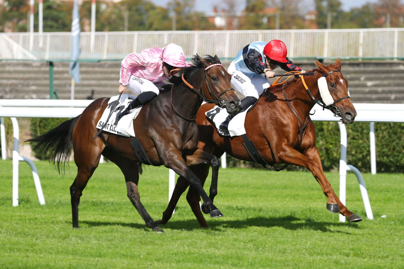 Arrivée du quinté du jeudi 9 octobre à Saint-Cloud : Seona persiste et signe