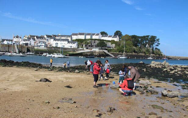 À Douarnenez, on peut désormais se promener librement sur l’île Tristan