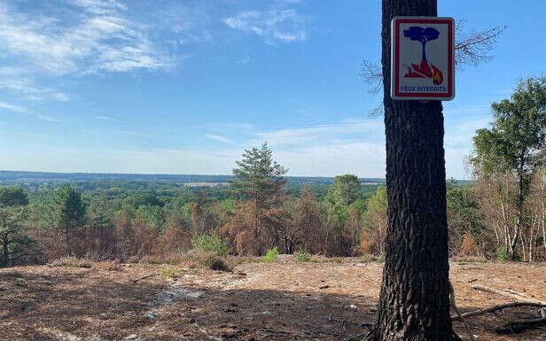 Risques d’incendies : fumer dans les bois et forêts sera désormais interdit pendant certaines périodes