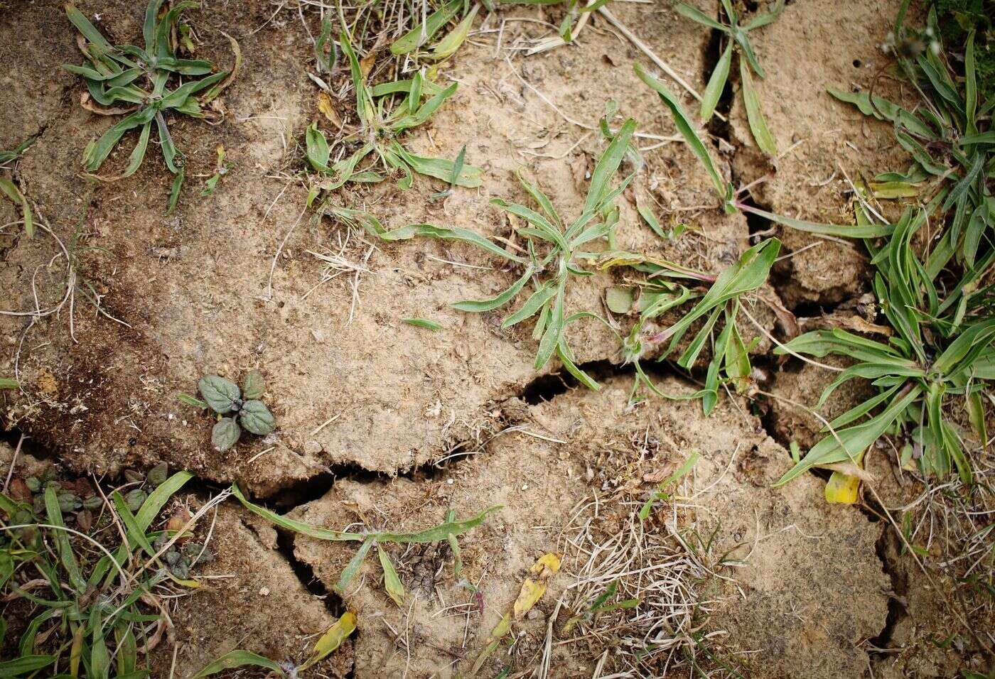 Les nappes phréatiques plutôt bien remplies au sortir de l’hiver, malgré des pluies moins abondantes en février