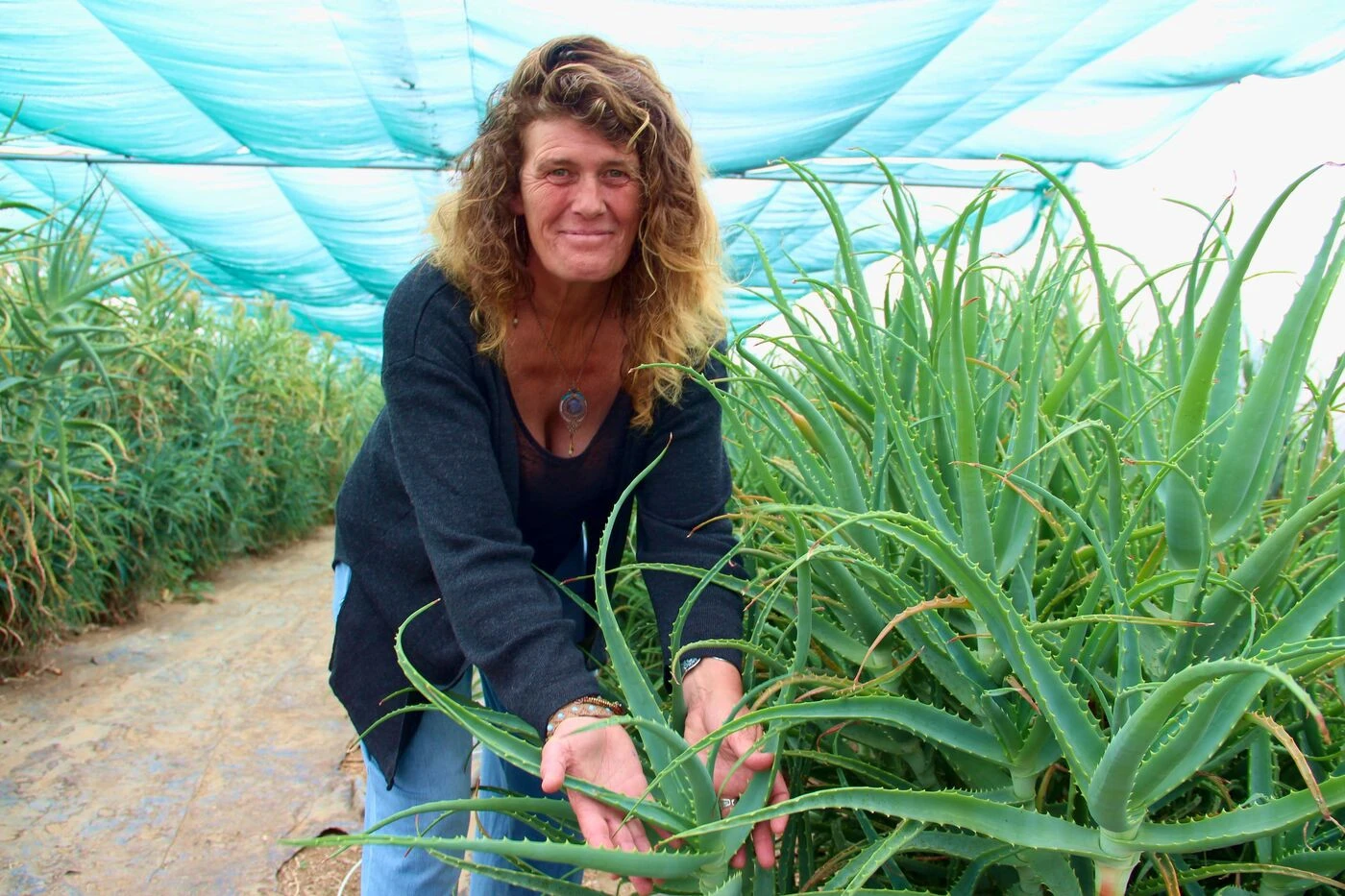 Finistère : grâce à son aloe vera, Anne s’est invitée à la carte d’Alain Ducasse au Meurice