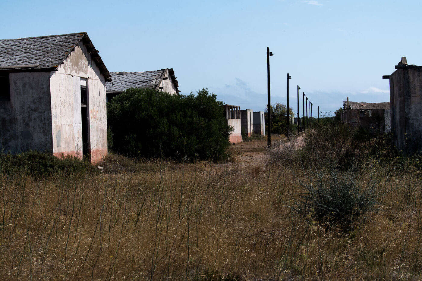 Camp de Rivesaltes : des sépultures d’enfants harkis sur le point d’être retrouvées