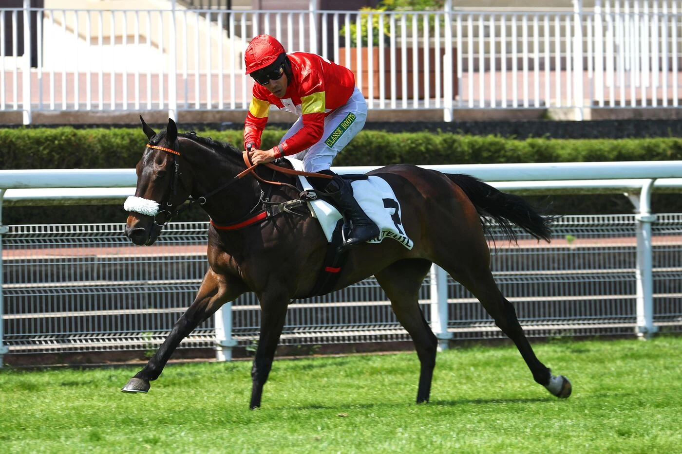 Arrivée du quinté du samedi 30 mai à Auteuil : Jour Polaire brille de mille feux