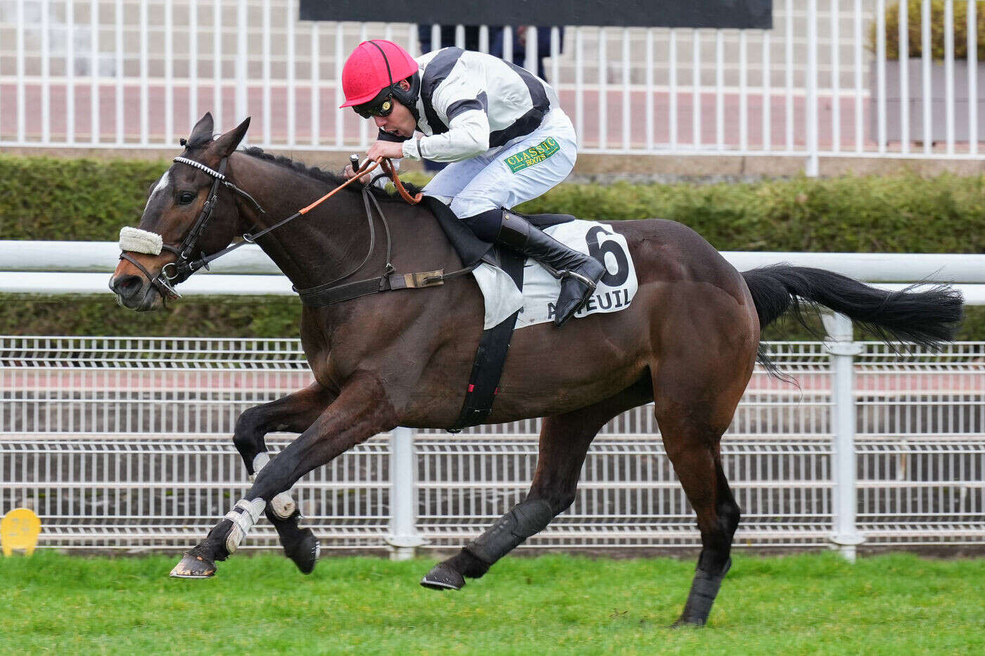 Arrivée du quinté du lundi 24 février à Auteuil : Kalibre redonne le sourire à Sylvain Dehez