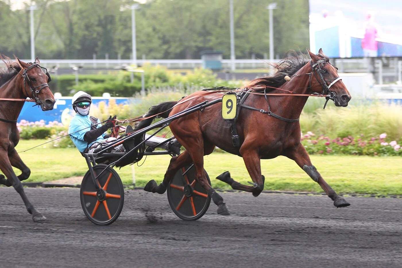 Arrivée du quinté du vendredi 29 mai à Paris-Vincennes : une victoire presque parfaite pour Christophe Mallet avec Ienisse de Barbray