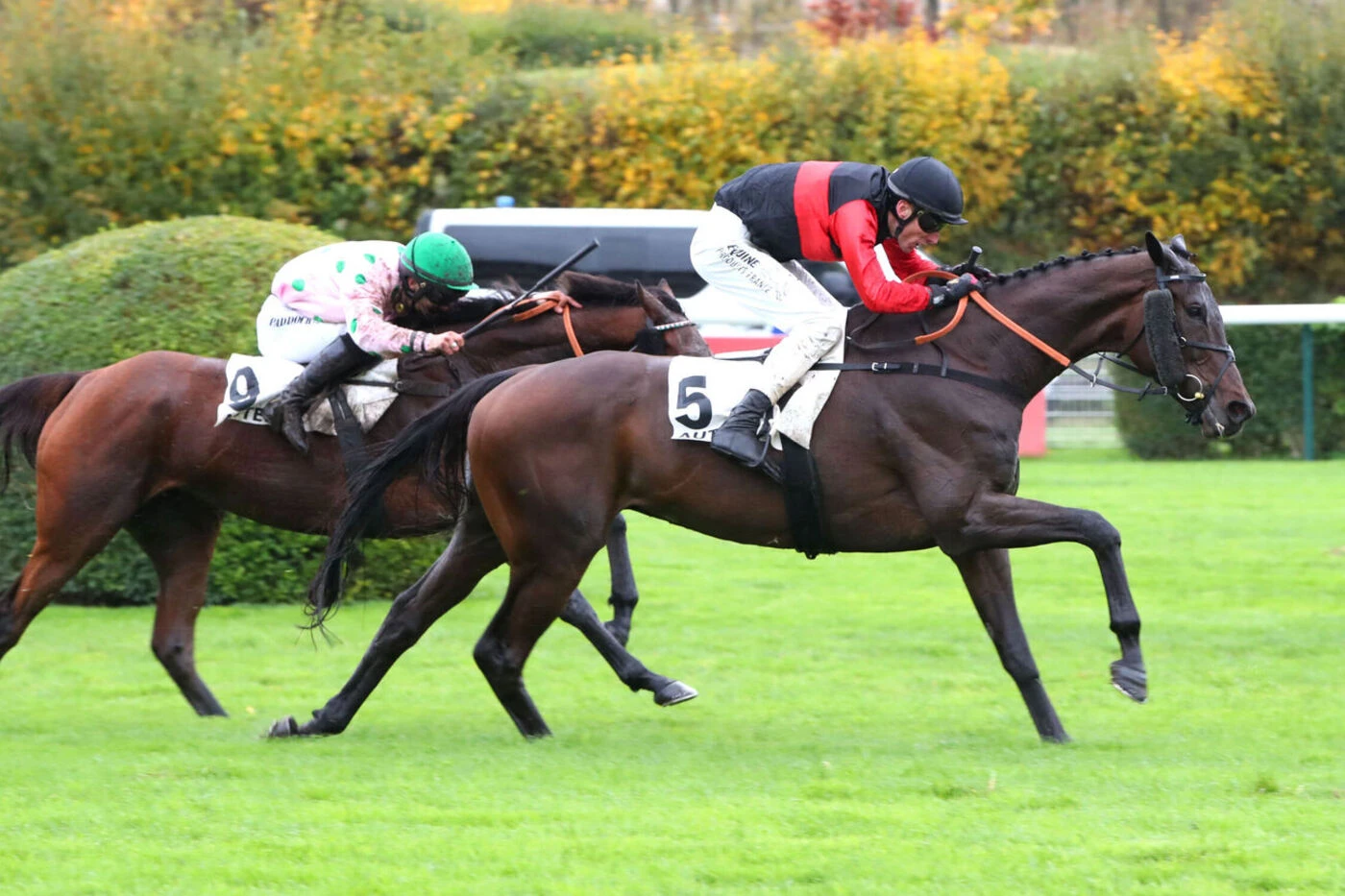 Arrivée du quinté du jeudi 23 octobre à Auteuil : Jachar ou la forme George-Zetterholm