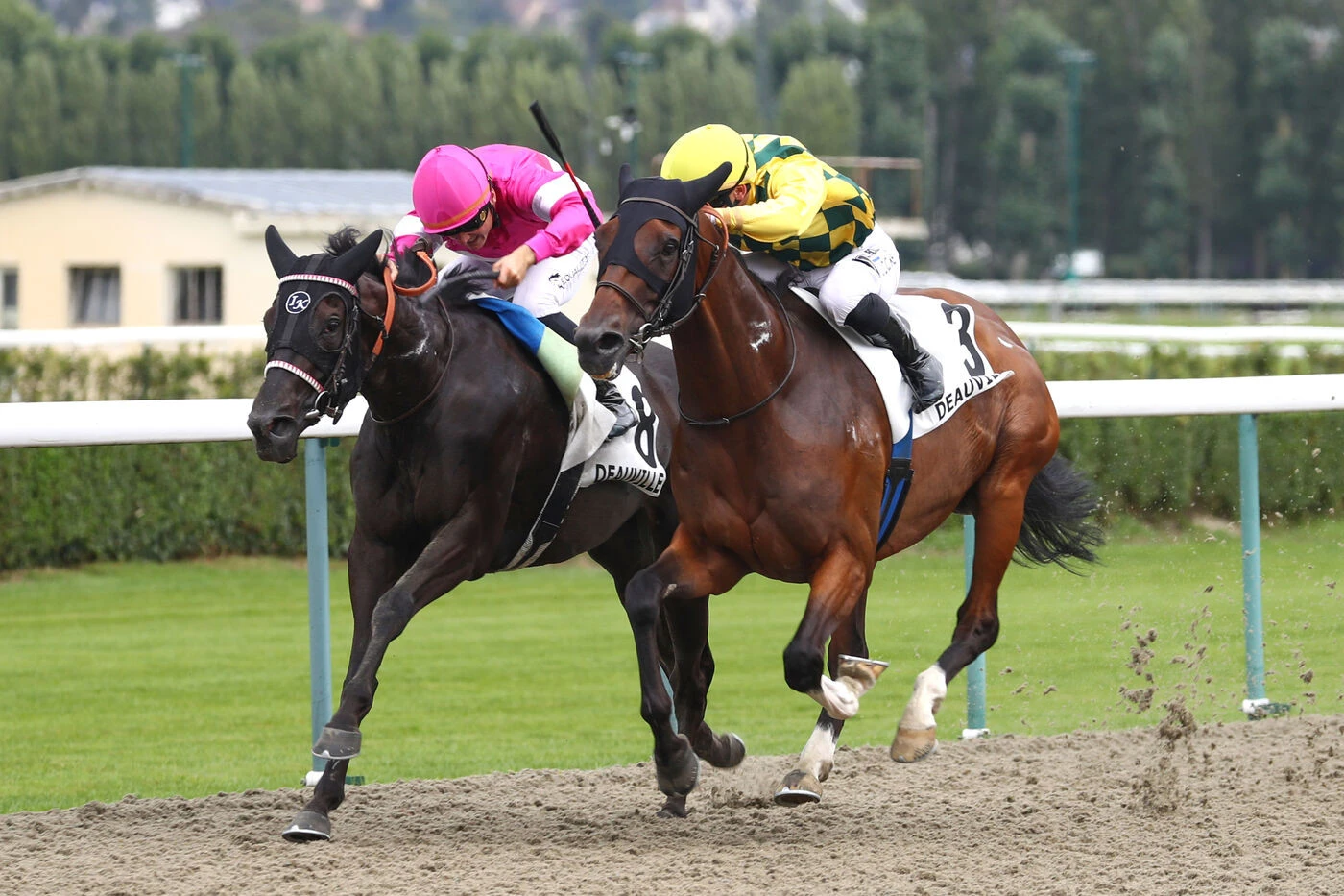 Arrivée du quinté du dimanche 3 août à Deauville : Reverso crée la surprise pour l’ouverture du meeting