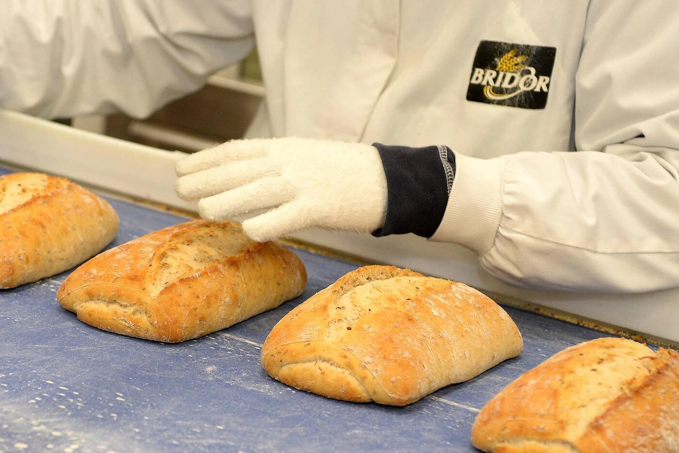 « Nous ne pouvions pas attendre 10 ans » : la Normandie accueille l’usine Le Duff à la place des Bretons