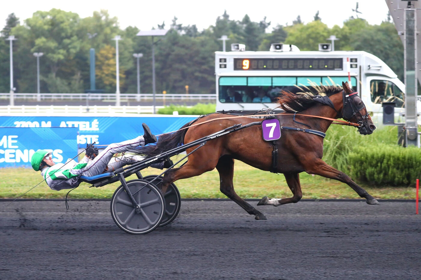 Arrivée du quinté du mercredi 20 août à Vincennes : Grand Roi Kalouma dicte sa loi