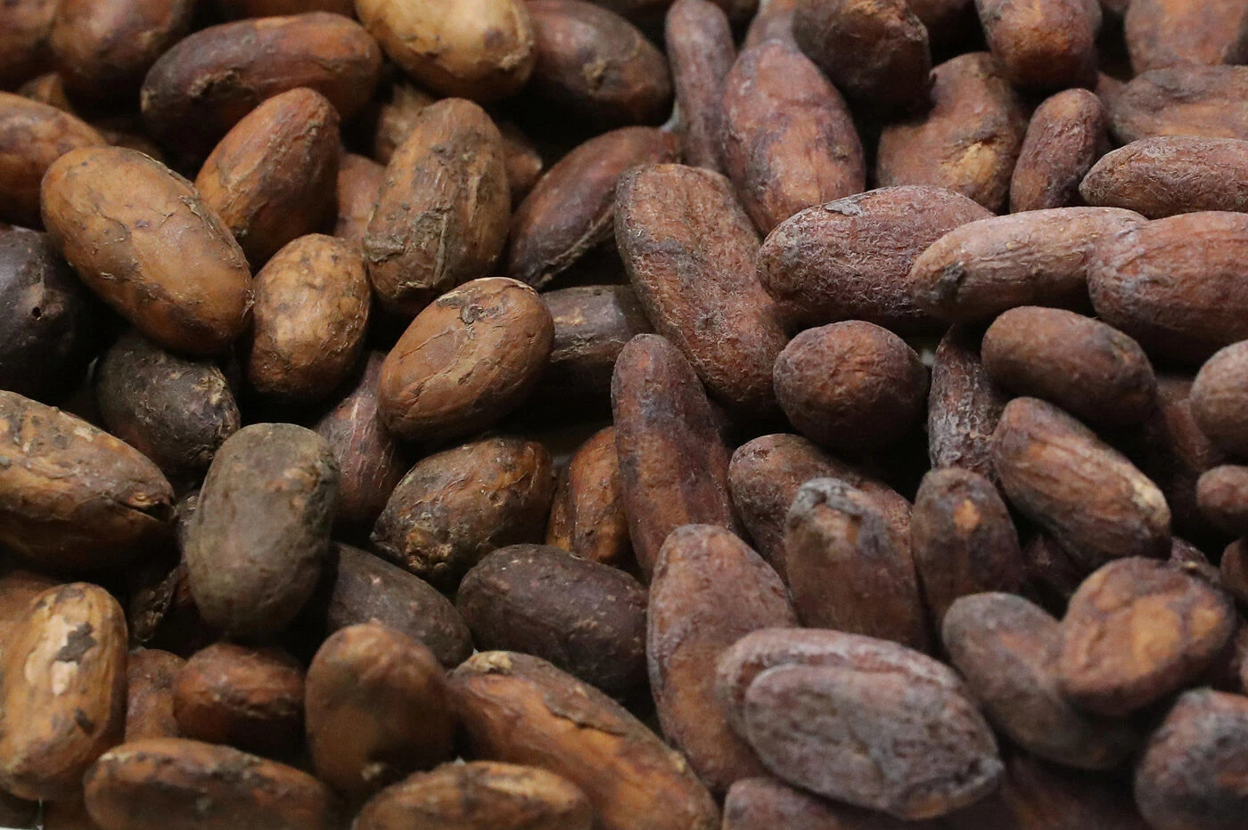 « Tout ce qui se trouve à l’intérieur de la cabosse » : Nestlé veut innover dans la production du chocolat