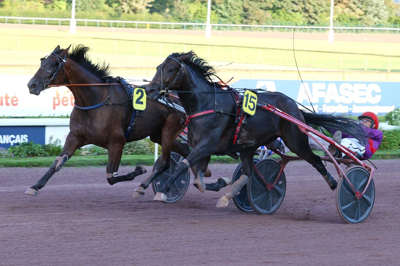 Arrivée du quinté du vendredi 25 juillet à Cabourg : Jotunn du Dôme profite de l’inspiration de Philippe Daugeard