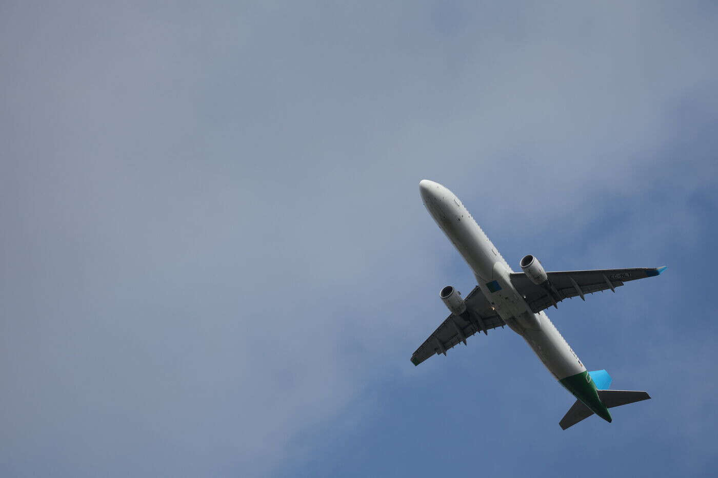 Crash en Corée du Sud : hantise des pilotes, les oiseaux à l’origine de nombreux incidents aériens