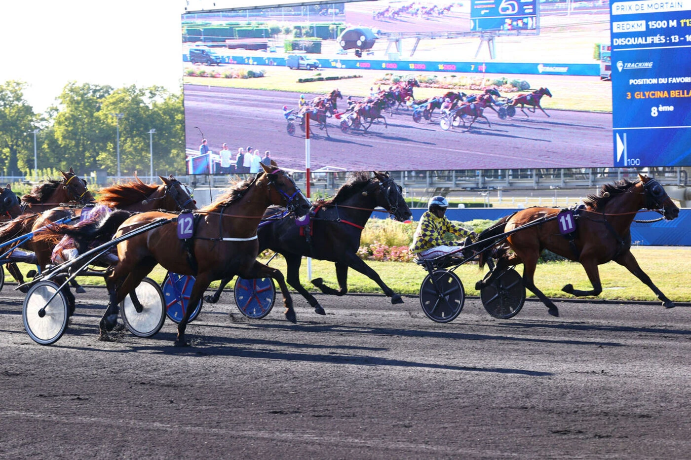 Arrivée du quinté du lundi 25 août à Vincennes : Flash Money enflamme les rapports