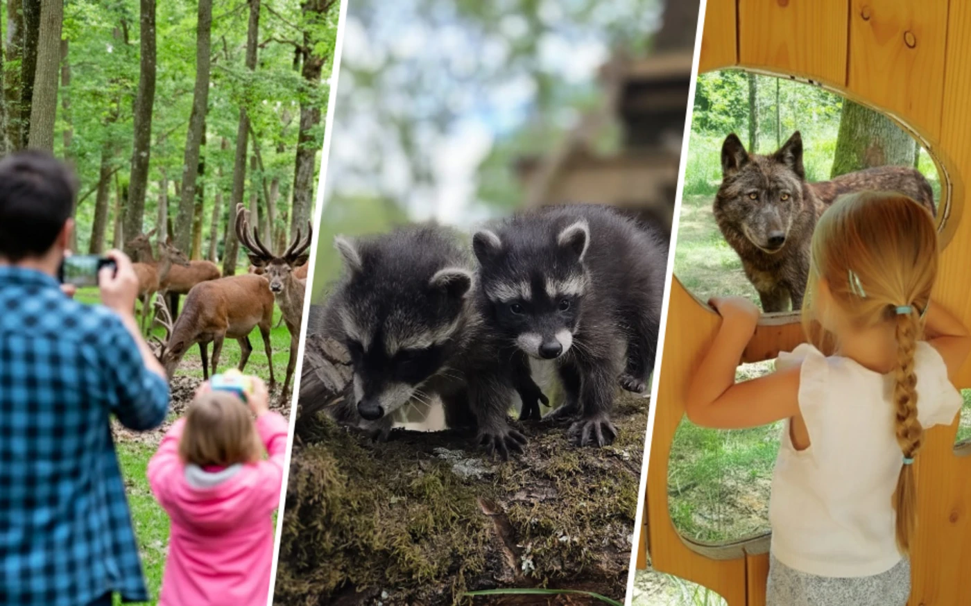 Jeu concours : tentez de gagner une expérience nature à l'Espace RambouilletContenu proposé par ESPACE RAMBOUILLET