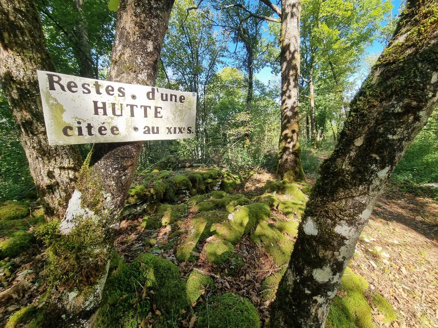 Alaise veut lever le mystère sur son riche passé Gaulois