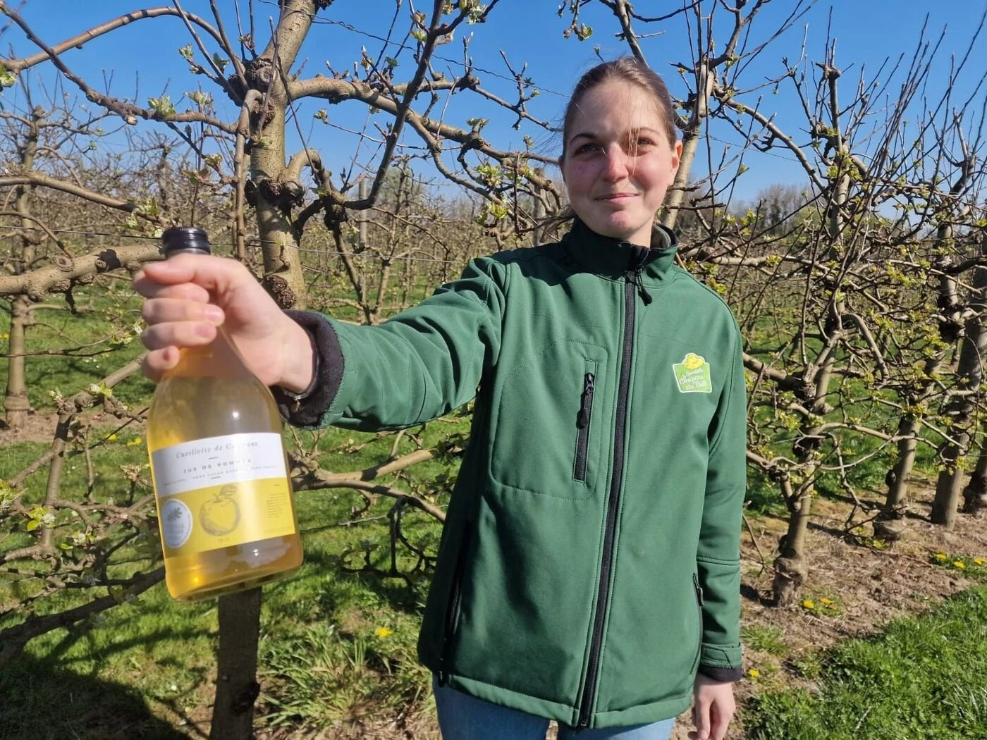 « Nous en envoyons même en Normandie et en Bretagne ! » : pourquoi les meilleures pommes poussent en Seine-et-Marne