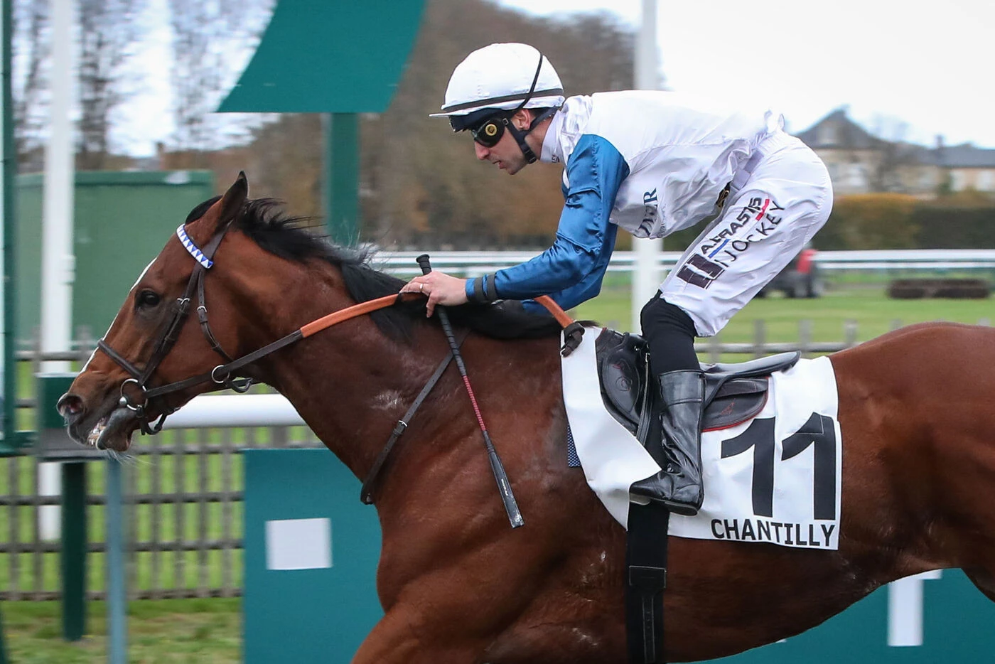 Arrivée du quinté du mardi 28 octobre à Chantilly : Westminster Night renoue avec la victoire
