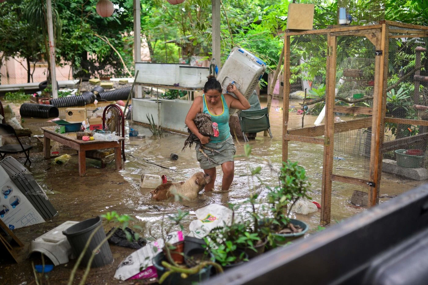 Mexique : des plus torrentielles font au moins 28 morts et d’énormes dégâts