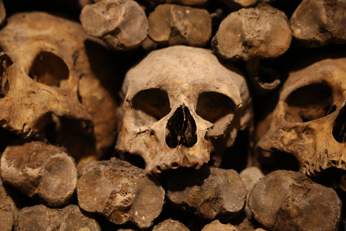 « Le site se dégrade lentement » : pourquoi les Catacombes de Paris ferment pour six mois à partir d’aujourd’hui ?