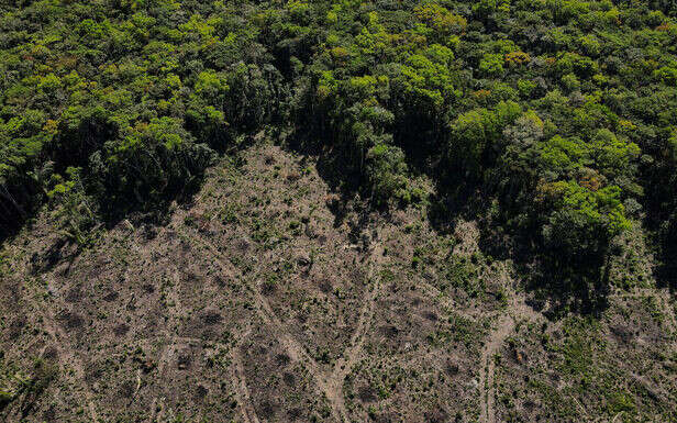 Amazonie : déforestation record en octobre, en accélération avant la prise de pouvoir de Lula