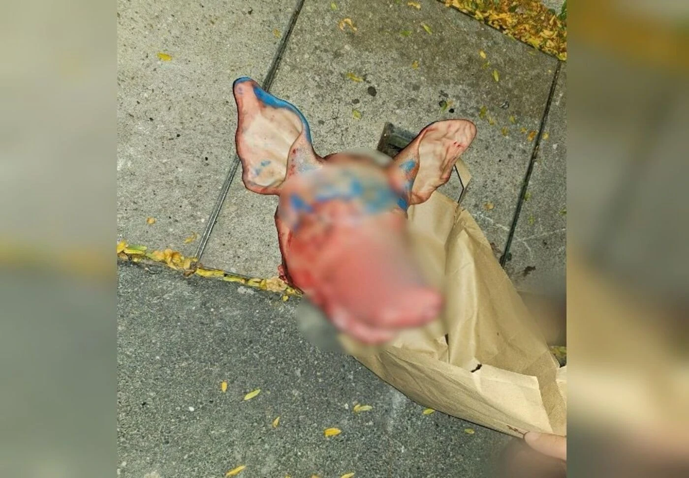 Têtes de cochon devant des mosquées : 11 personnes arrêtées en Serbie
