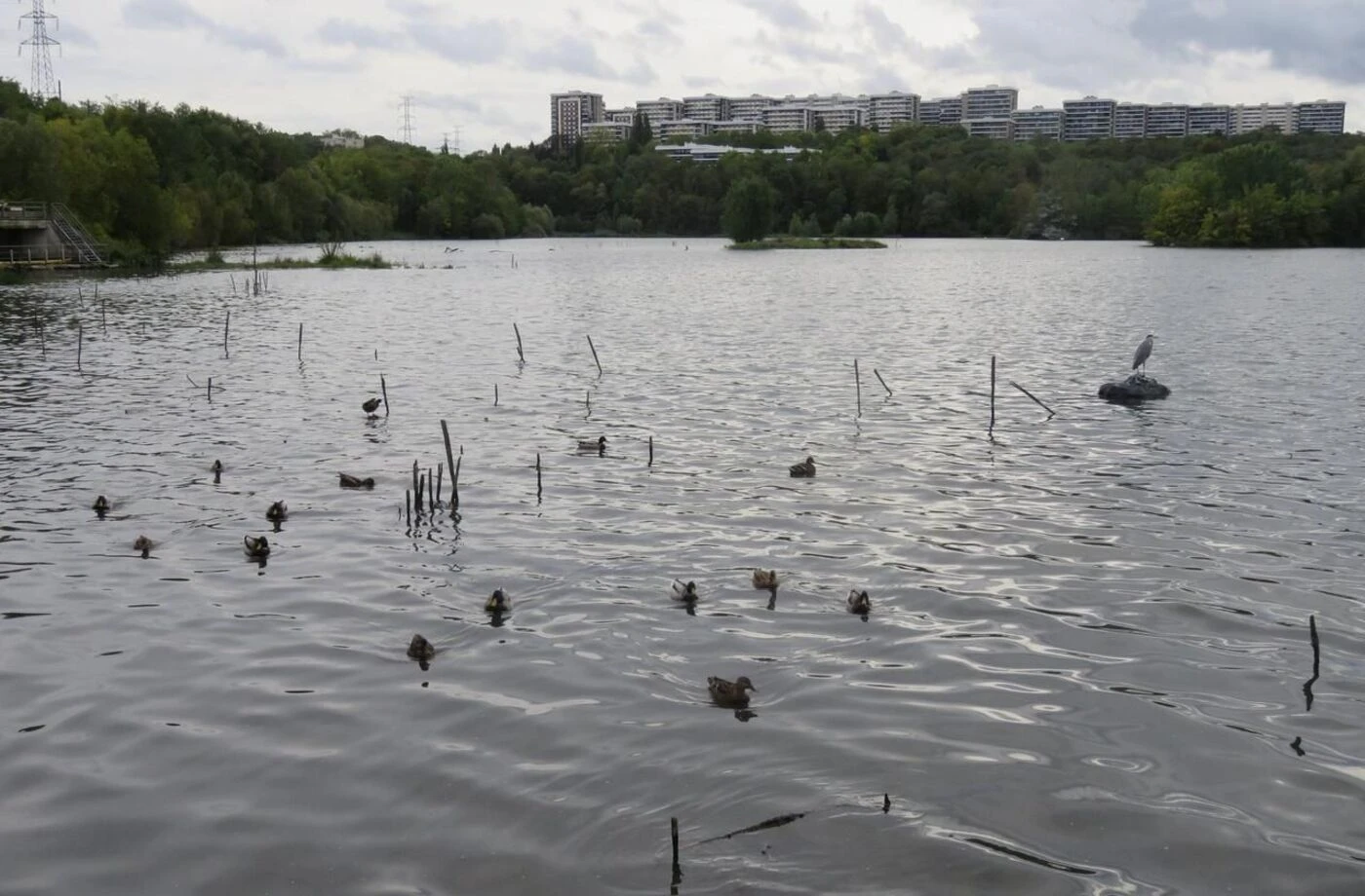 Un homme retrouvé mort près du lac de Grigny, trois suspects arrêtés pour meurtre