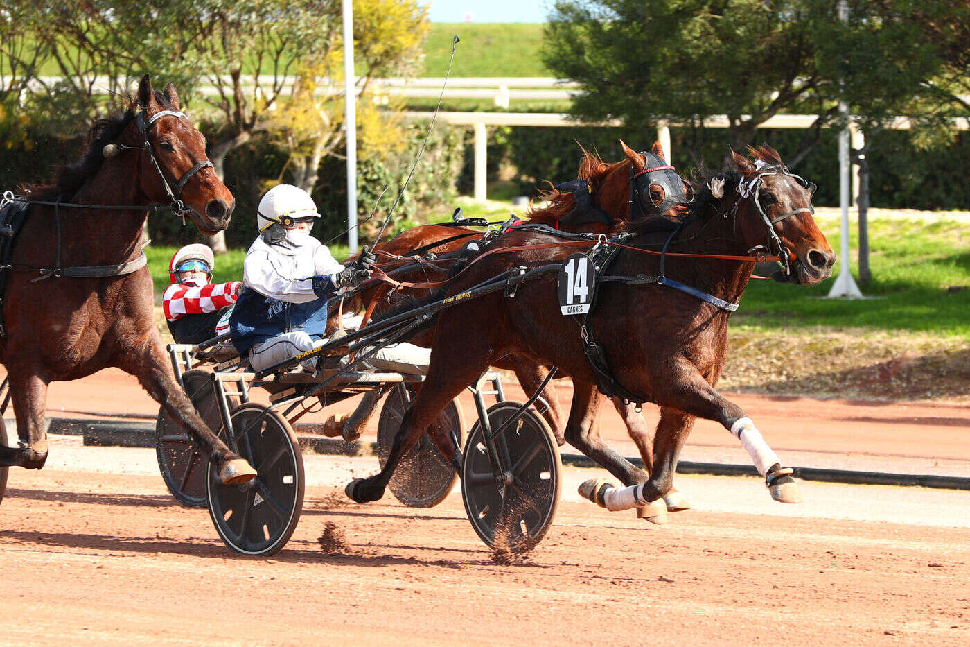 Arrivée du quinté du jeudi 13 février à Cagnes-sur-Mer : Gardner Shaw intraitable