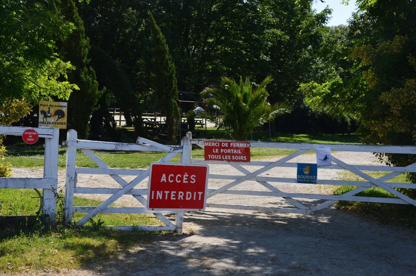 Concours annulés, centre équestre fermé… En Charente-Maritime, une épidémie fragilise le secteur équestre