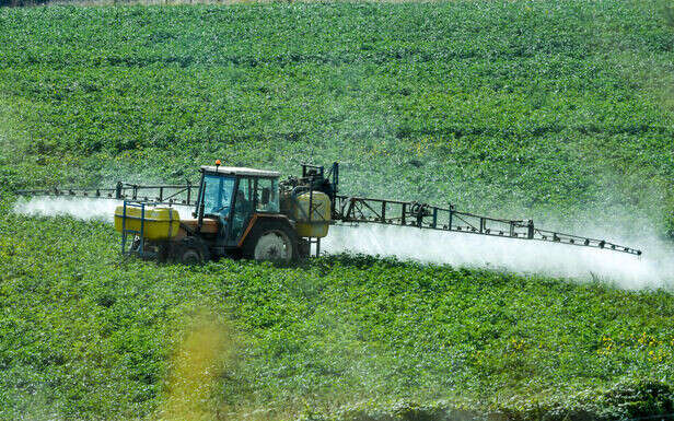 Les pesticides contaminent tous nos sols de manière invisible, même les forêts et les zones bio 