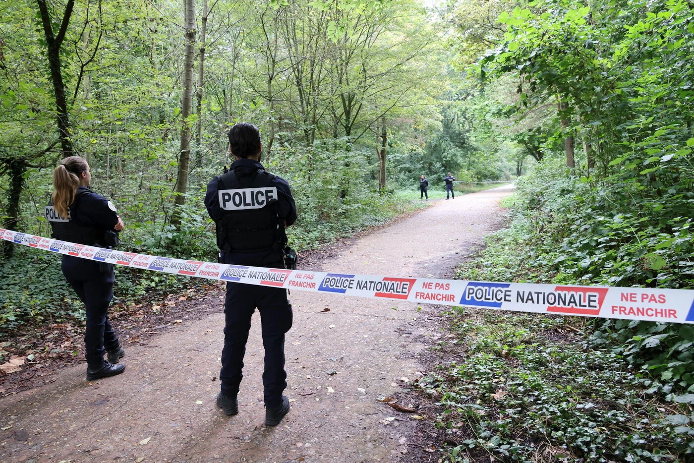 Il signale sa disparition puis avoue tout : un quinquagénaire tue sa femme et cache son corps dans un bois en Bretagne