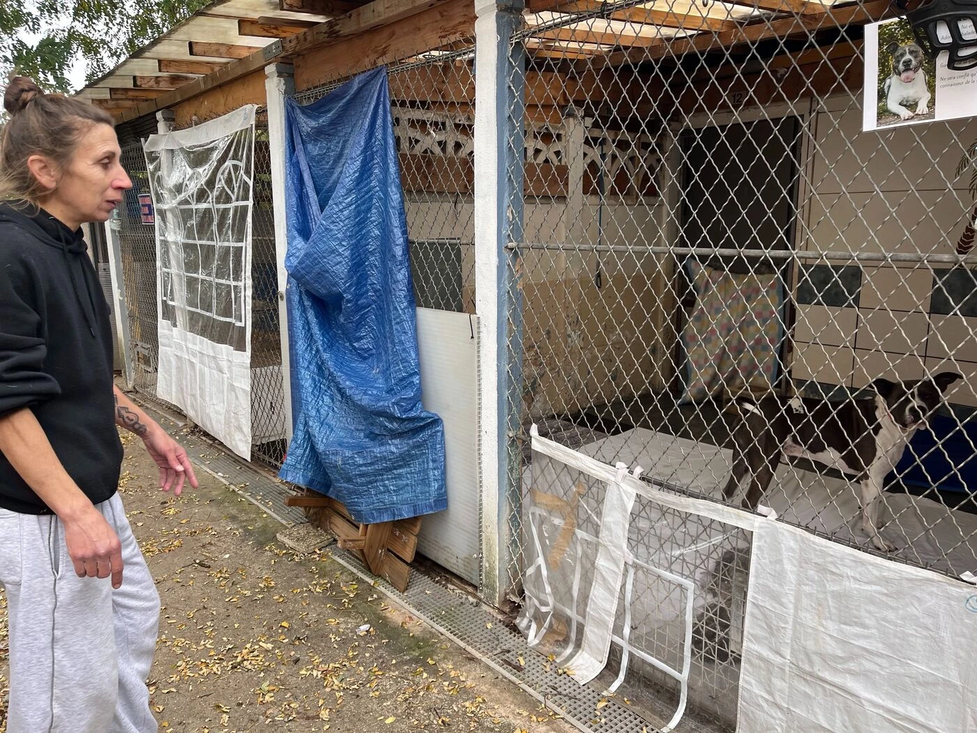 Rage, tempête, vétusté : l’appel aux dons du refuge d’Évry-Courcouronnes pour continuer de sauver des animaux