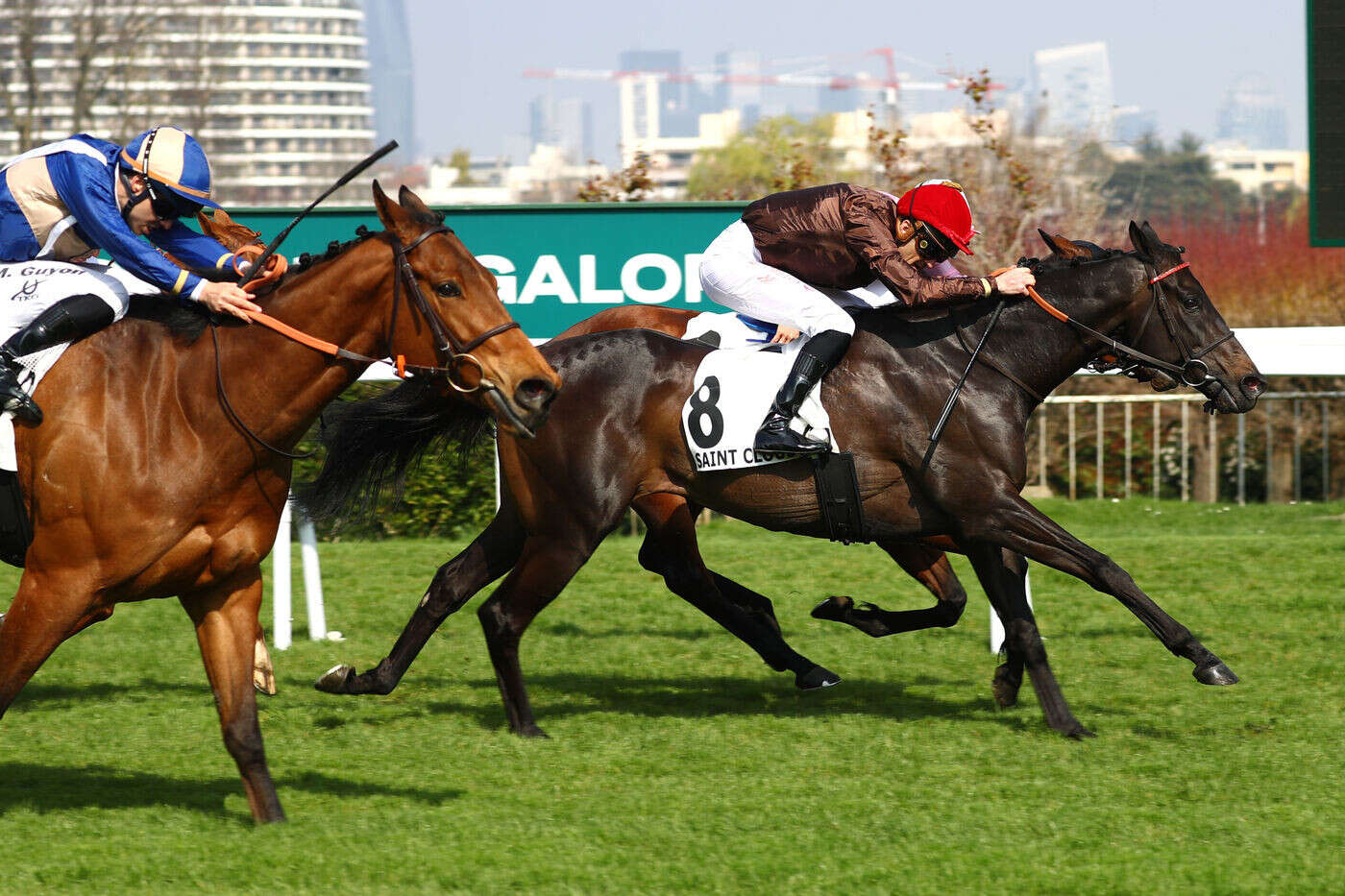 Arrivée du quinté du mardi 25 mars à Saint-Cloud : Grand Son of Calyx surprend agréablement