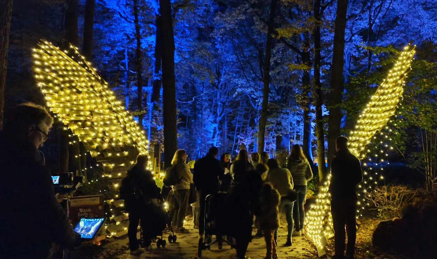 « Les Esprits de la Forêt » une sortie pleine de féérie et de magieContenu proposé par ESPACE RAMBOUILLET