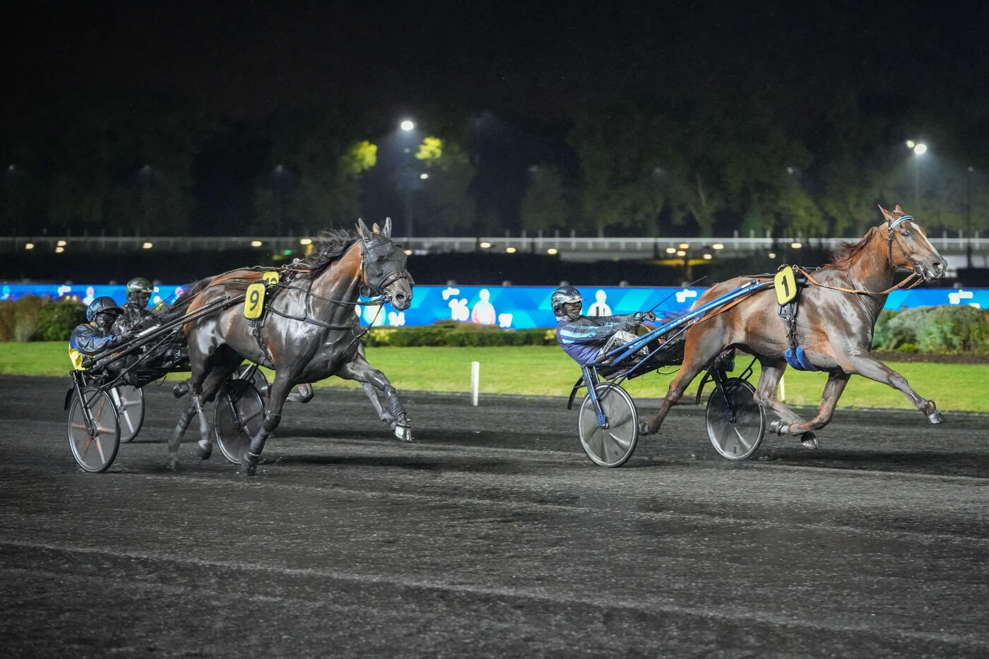 Arrivée du quinté du vendredi 3 octobre à Paris-Vincennes : Indice d’Argent décroche l’or
