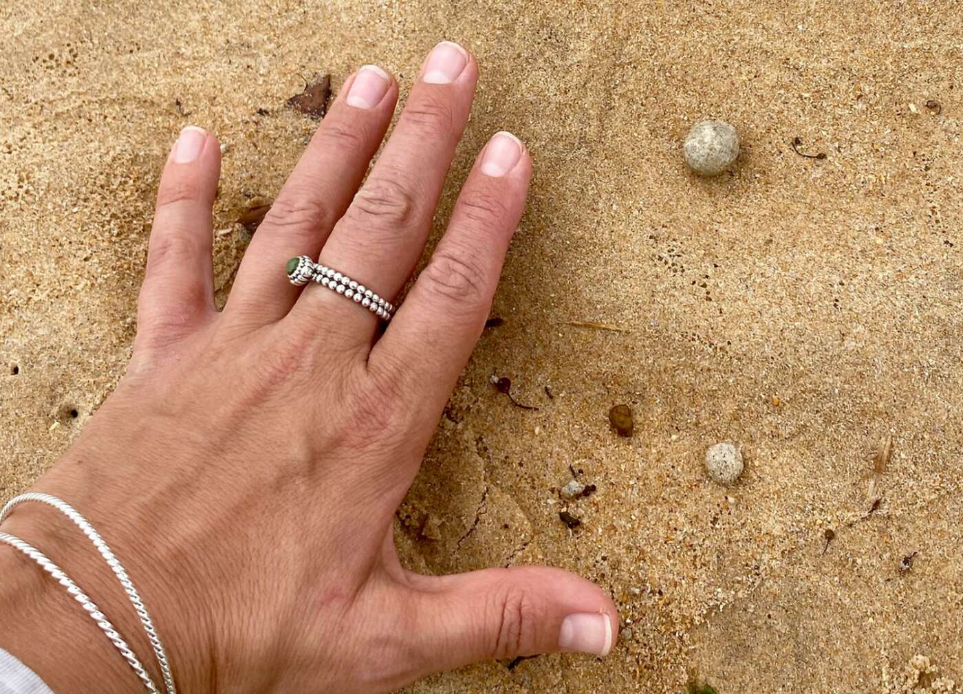 Boules mystérieuses échouées sur les plages en Australie : des bactéries fécales retrouvées