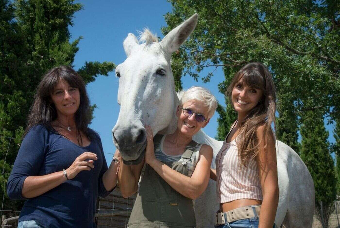 800 élèves franciliens sensibilisés au bien-être animal via des visites virtuelles d’un refuge du Tarn-et-Garonne