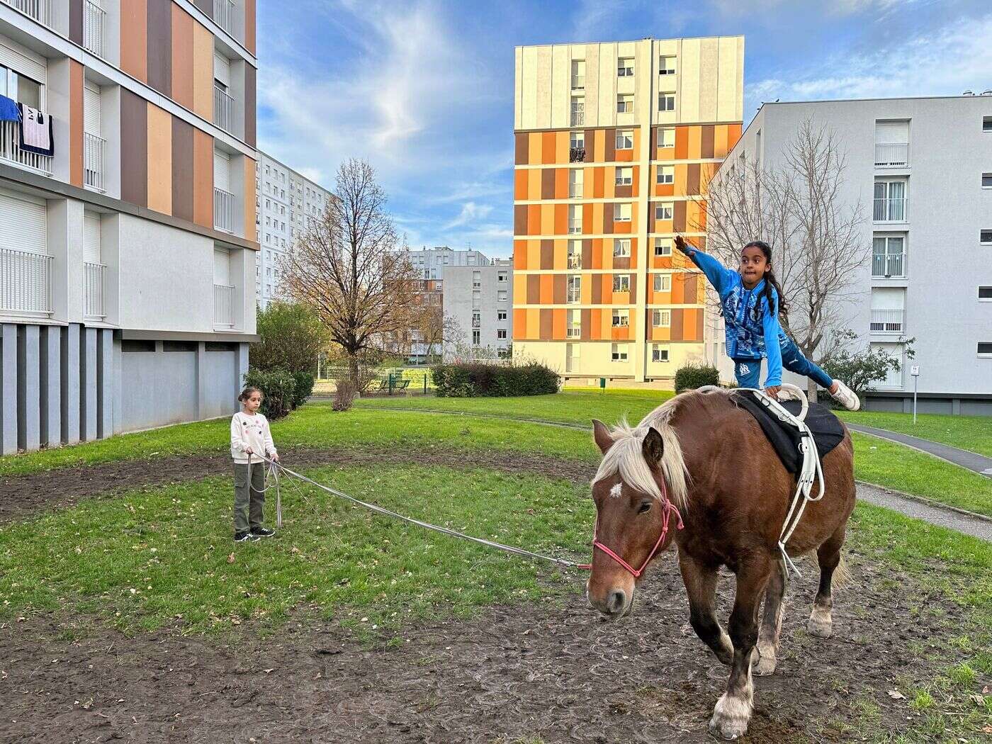 « Il y a une forme de fascination » : des chevaux au pied d’une cité de Clermont-Ferrand