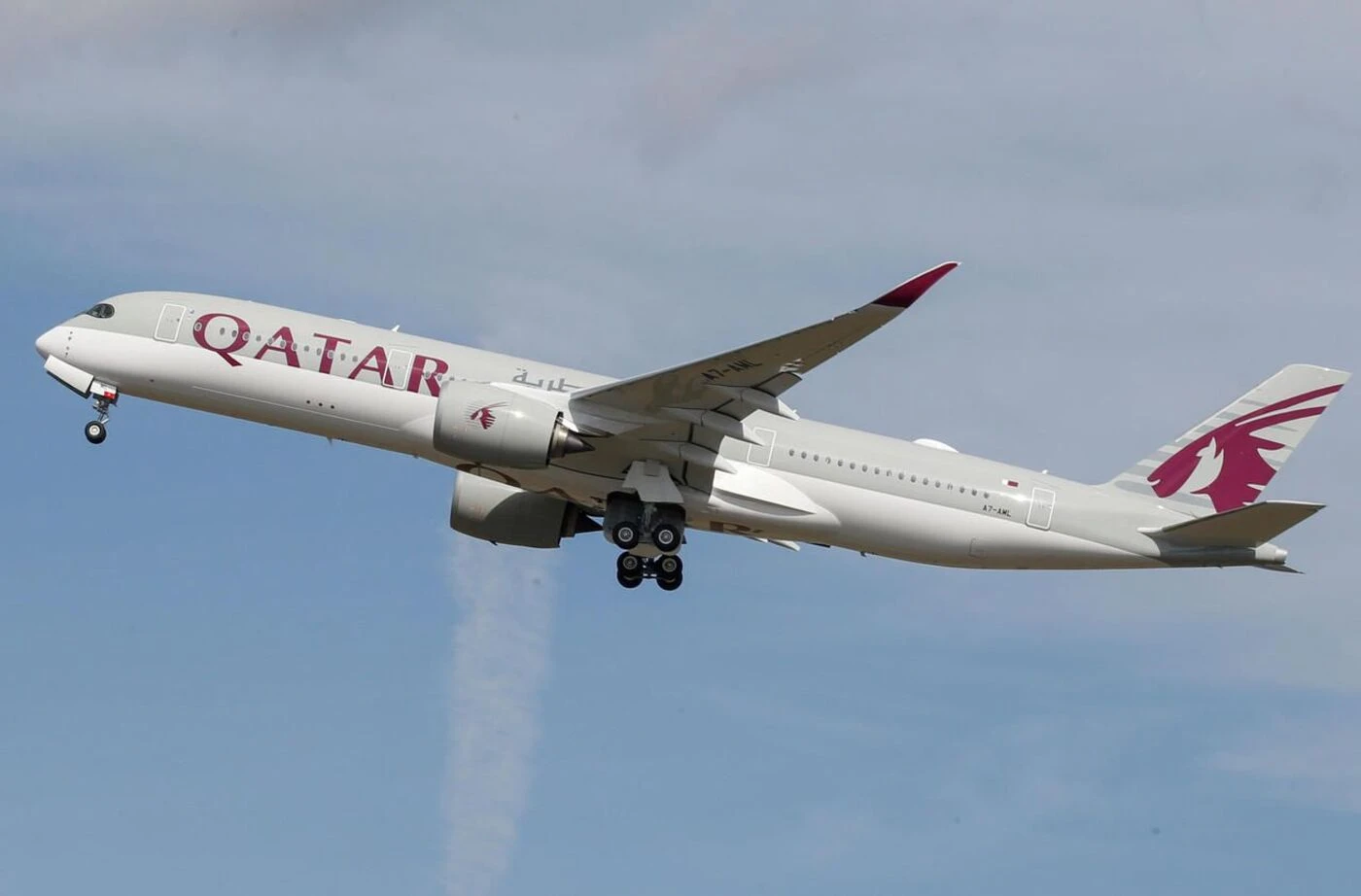 Un passager de Qatar Airways, végétarien, meurt étouffé après avoir reçu un plateau-repas avec de la viande : sa famille porte plainte
